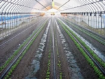 Amazon | スミサンスイM 200m 0.2mm孔 | ホース・チューブ